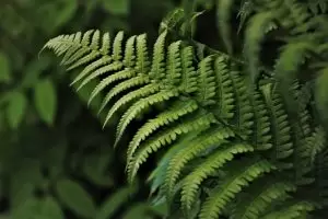 Environmental Compliance